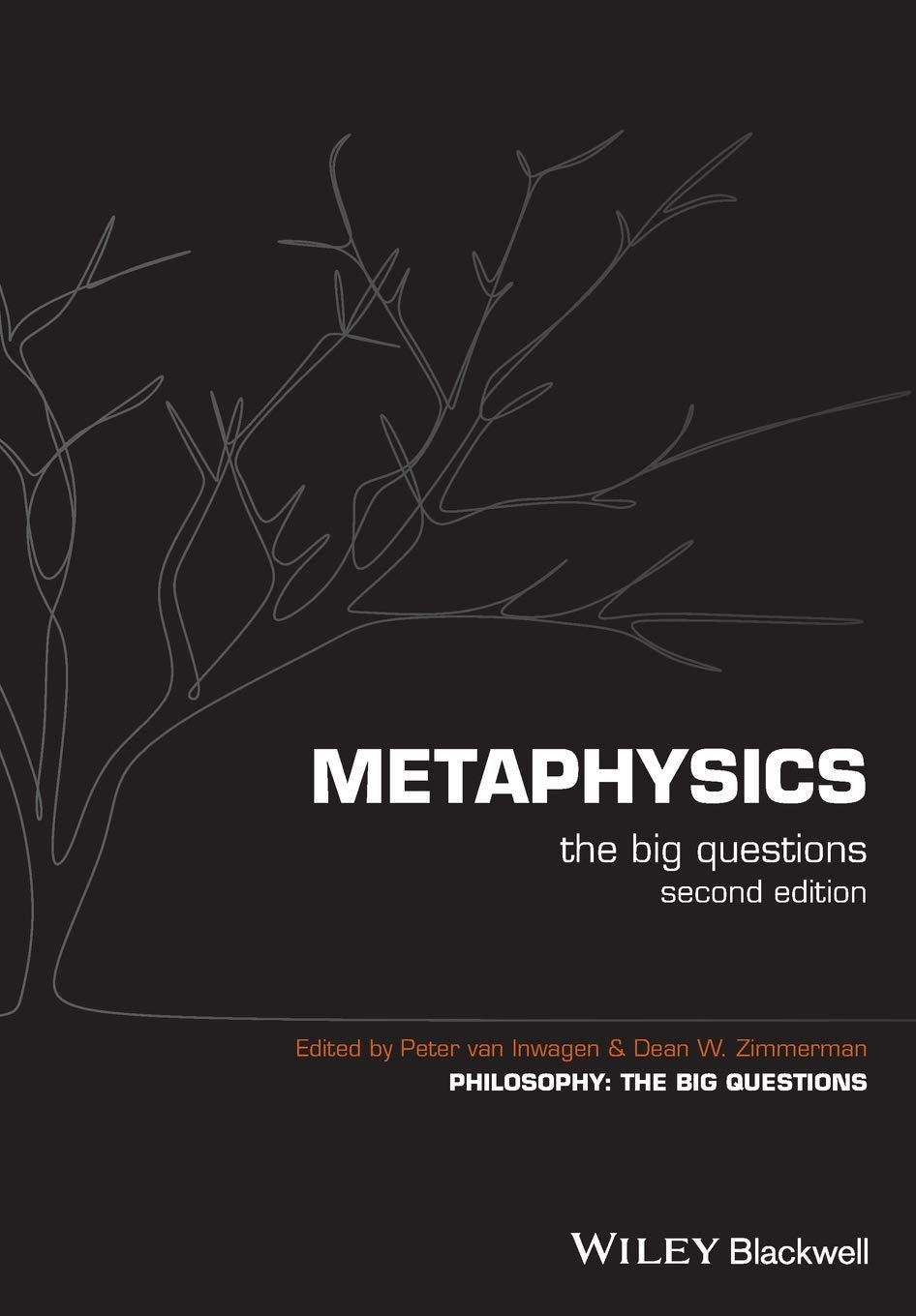 Metaphysics 2e,Used