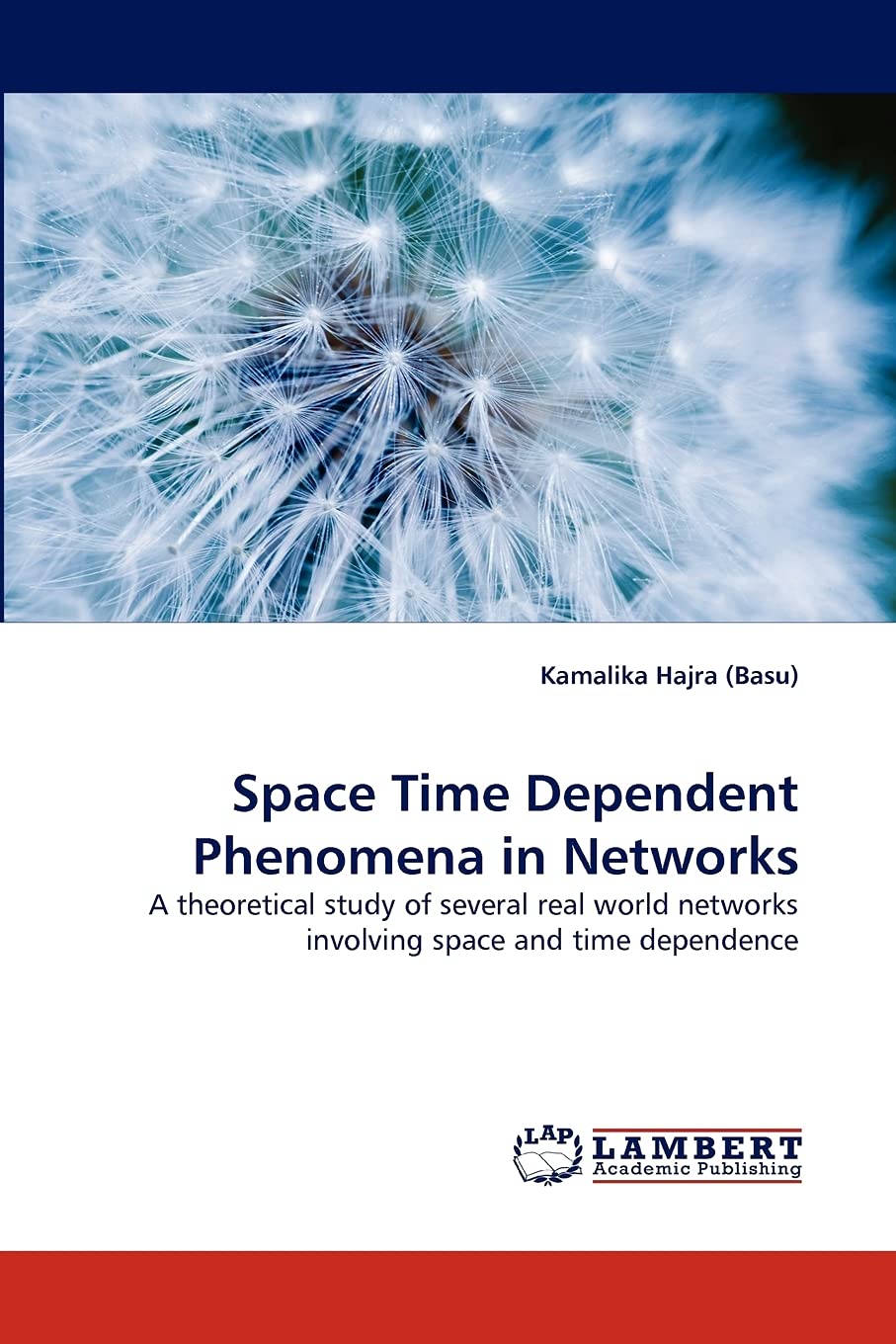 Space Time Dependent Phenomena in Networks: A theoretical study of several real world networks involving space and time dependen,Used