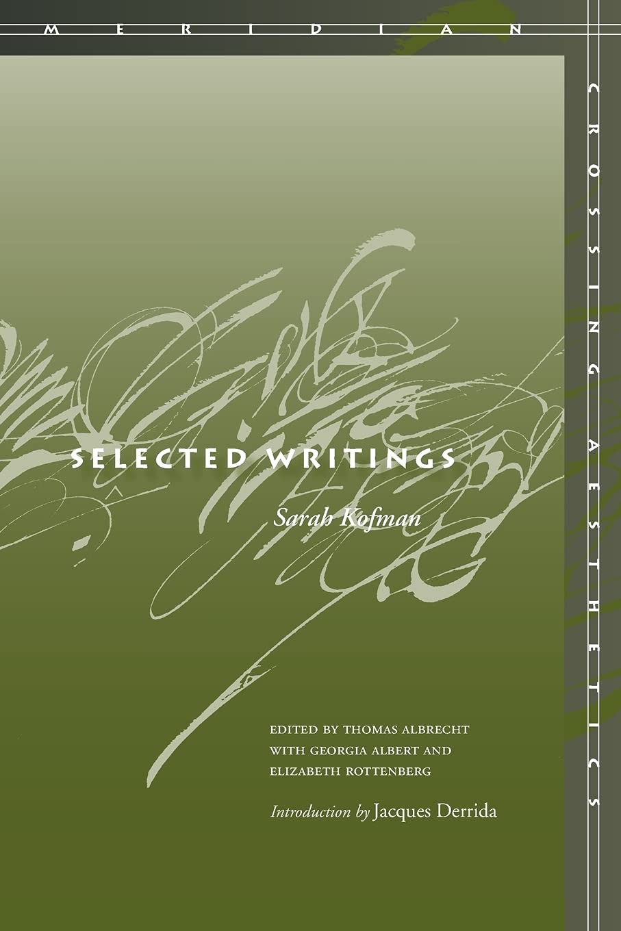 Selected Writings (Meridian: Crossing Aesthetics),Used