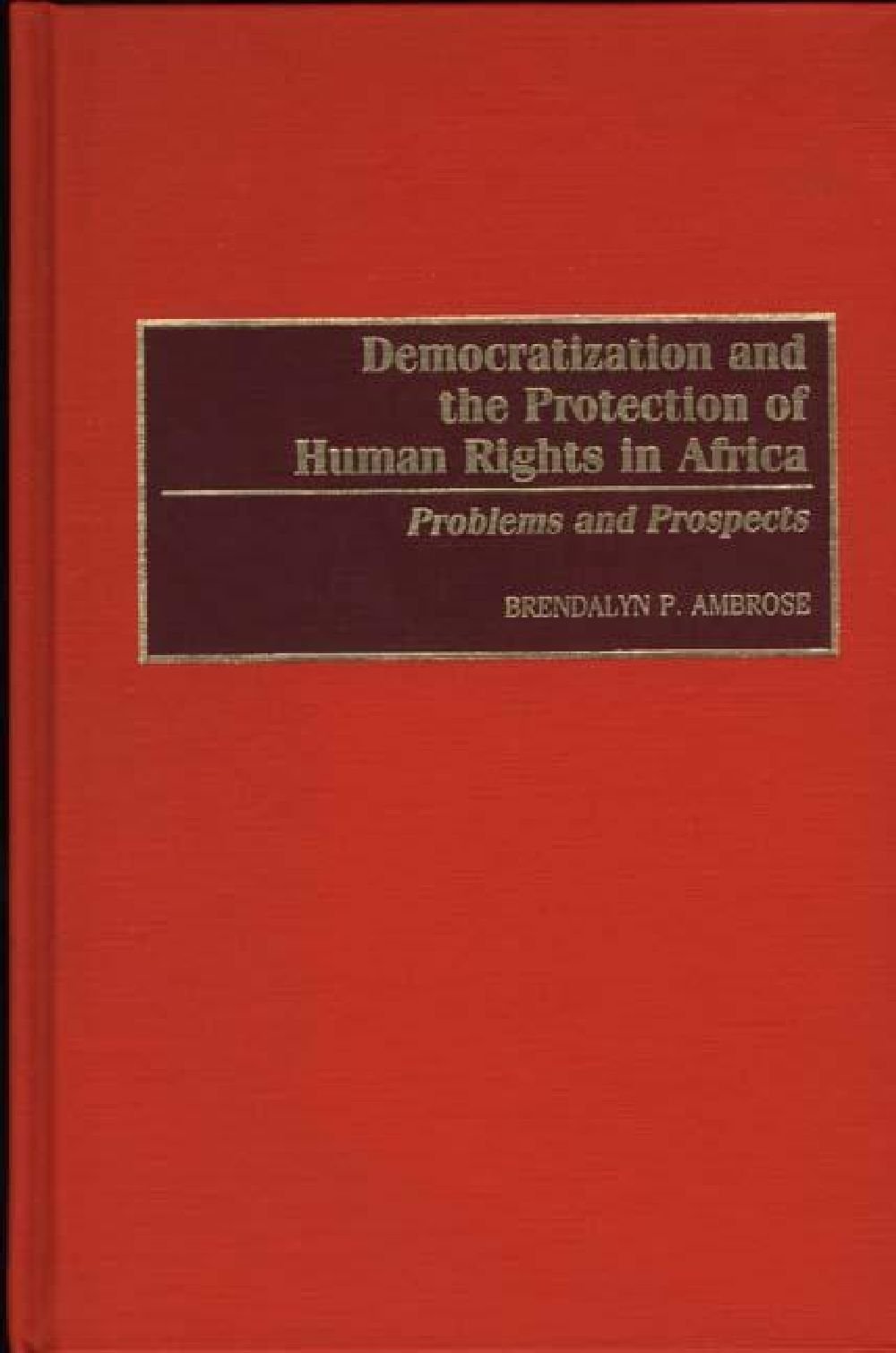 Democratization And The Protection Of Human Rights In Africa: Problems And Prospects
