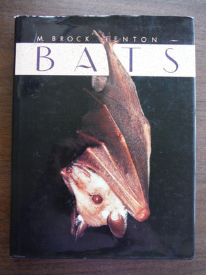 Bats,Used