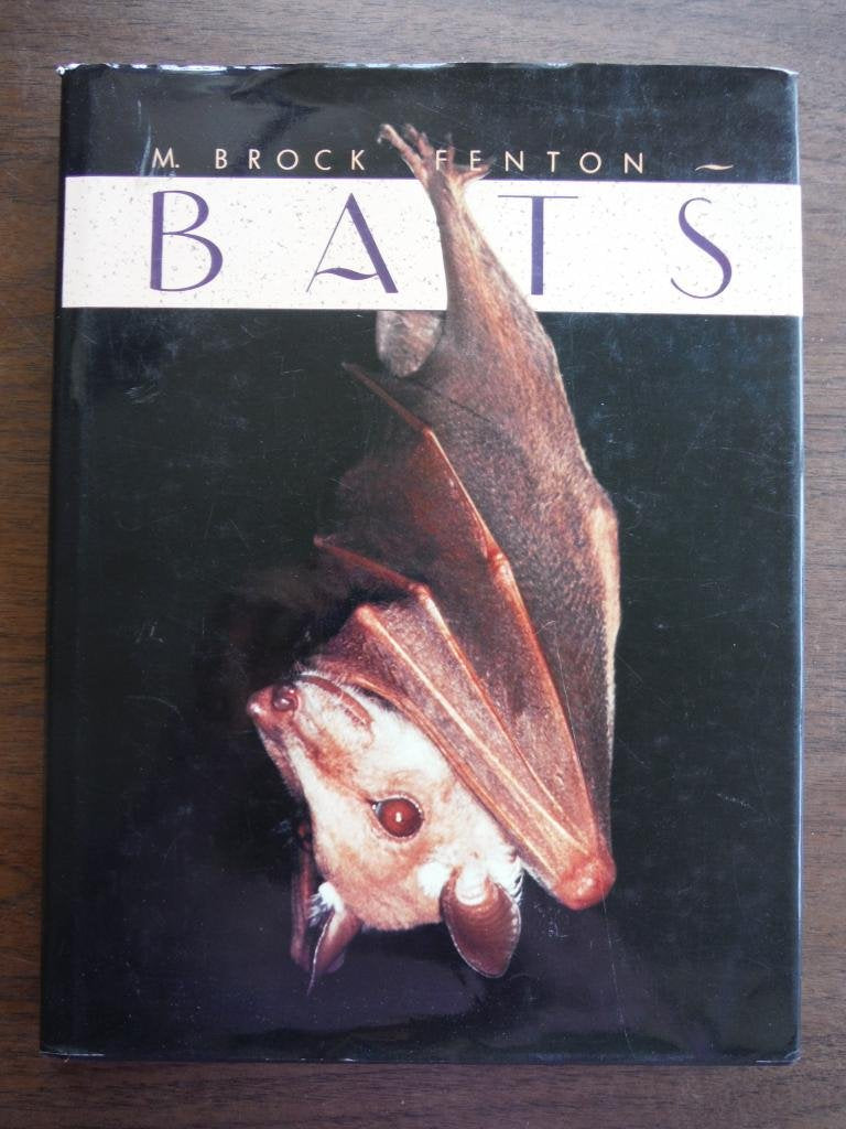 Bats,Used