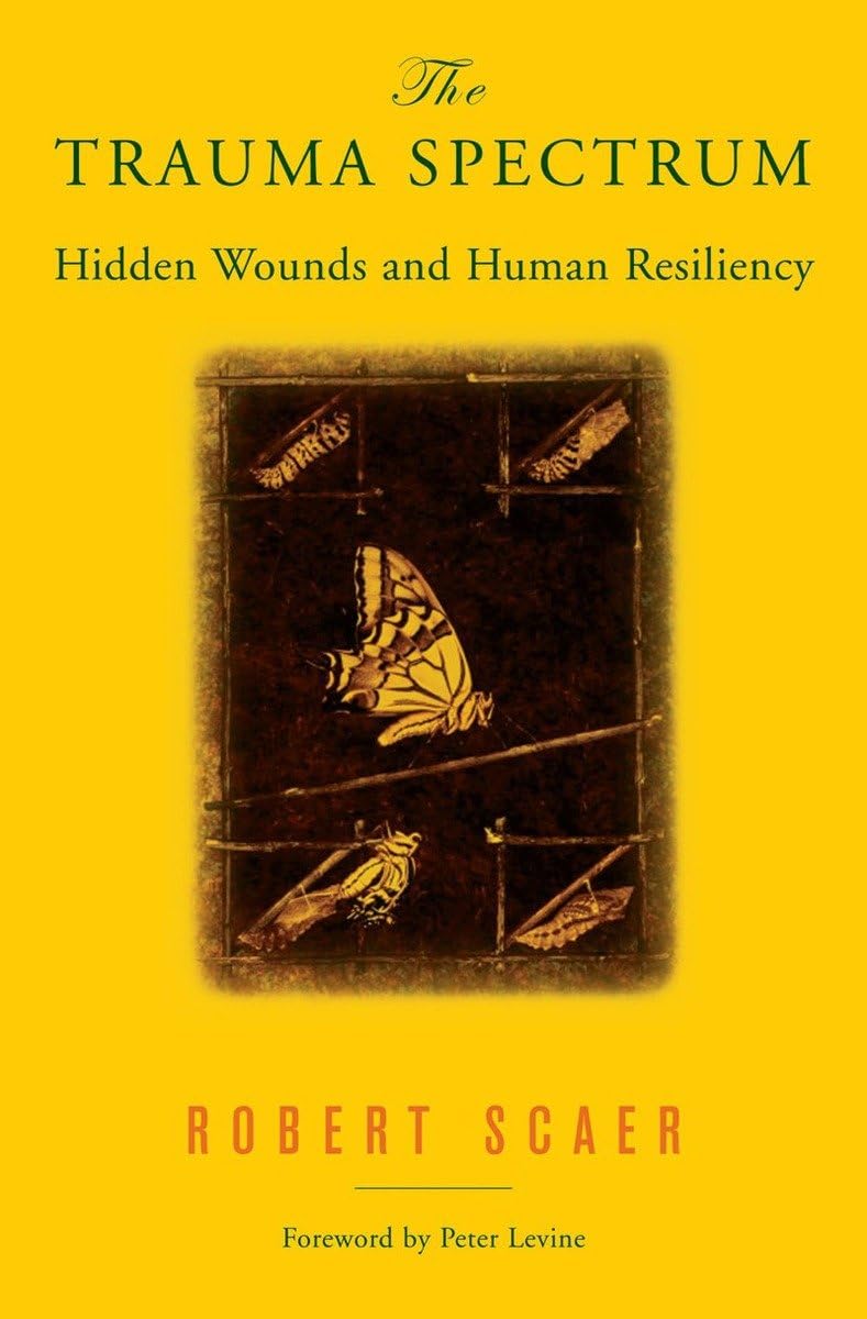 The Trauma Spectrum: Hidden Wounds And Human Resiliency,Used