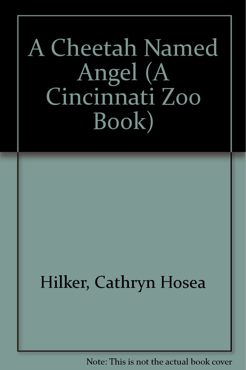 A Cheetah Named Angel (A Cincinnati Zoo Book),Used