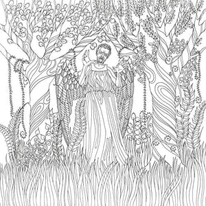 Dr. Who: The Colouring Book (Doctor Who),Used