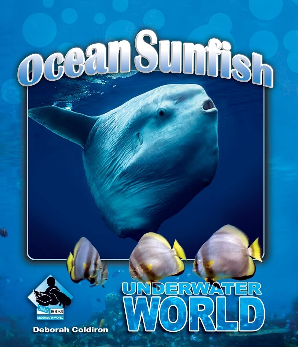 Ocean Sunfish (Underwater World)
