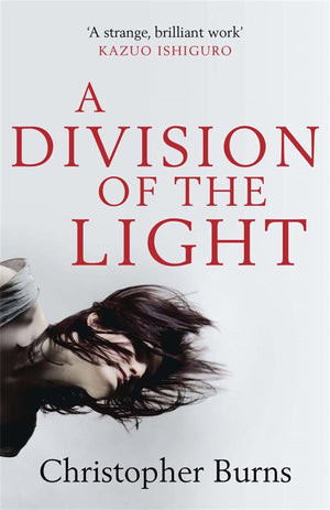 A Division Of The Light