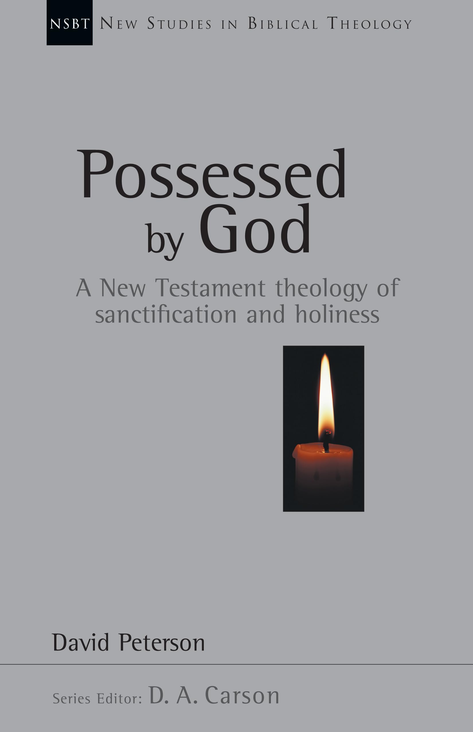 Possessed by God: A New Testament theology of sanctification and holiness (Volume 1) (New Studies in Biblical Theology),Used