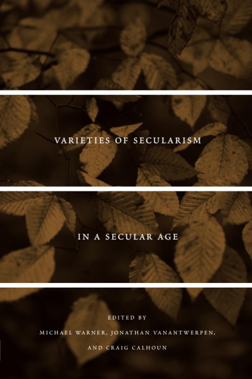 Varieties Of Secularism In A Secular Age,New