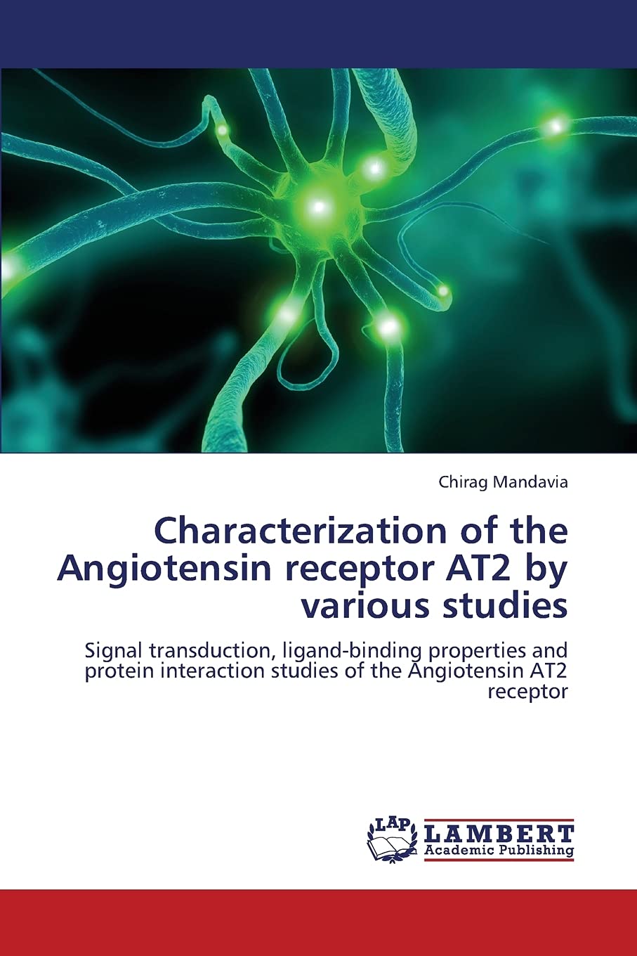 Characterization of the Angiotensin receptor AT2 by various studies: Signal transduction, ligandbinding properties and protein ,Used