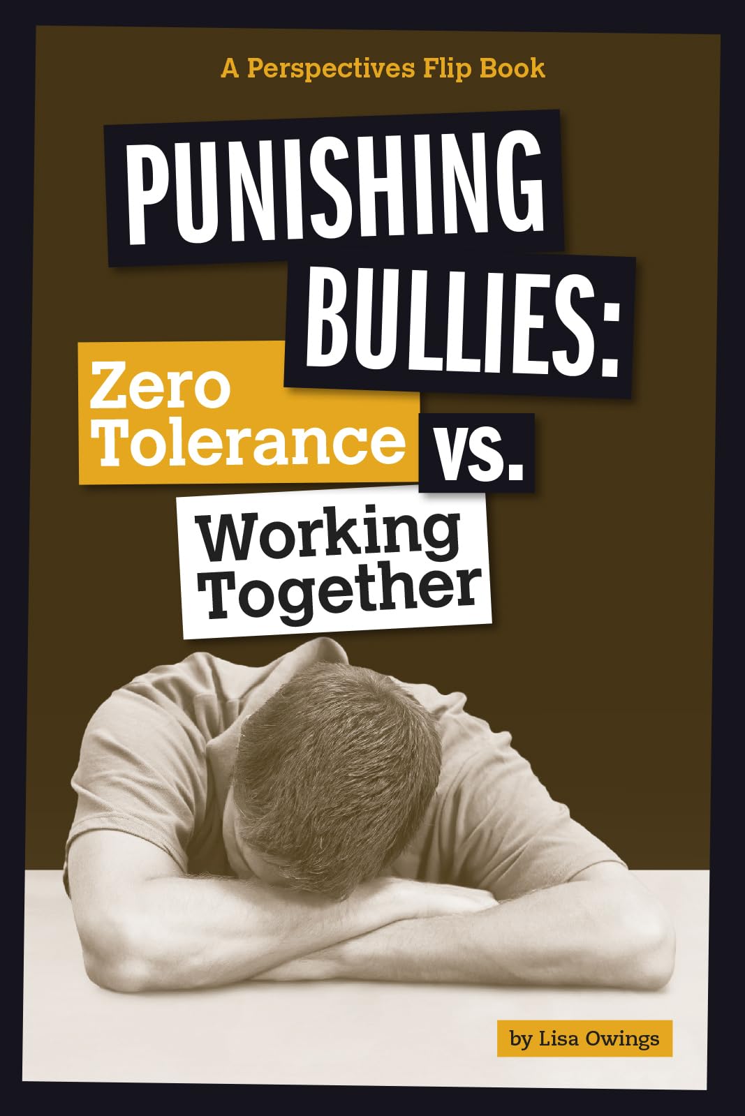 Punishing Bullies: Zero Tolerance vs. Working Together (Perspectives Flip Books),Used