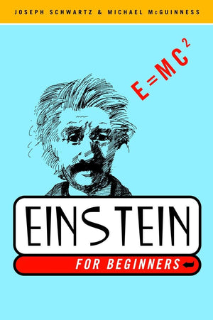 Einstein for Beginners,Used