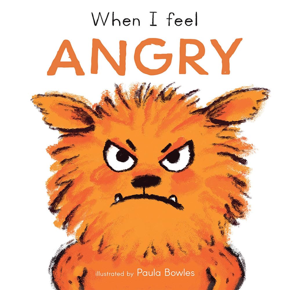 When I Feel Angry (First Feelings Series),Used