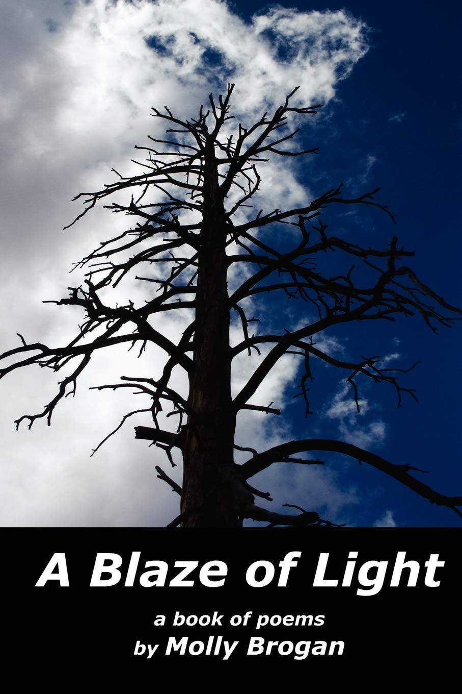 A Blaze of Light,Used