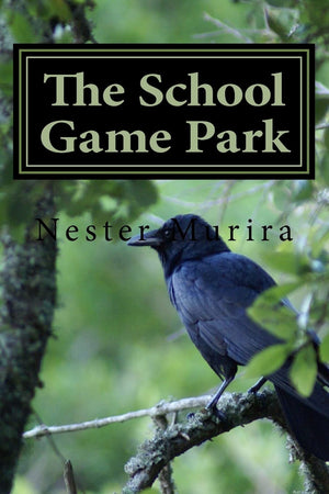 The School Game Park,Used