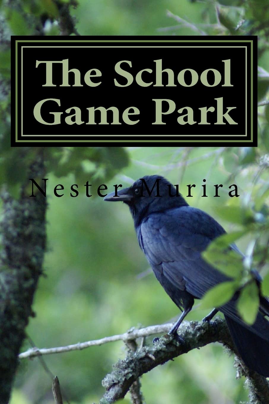 The School Game Park,Used