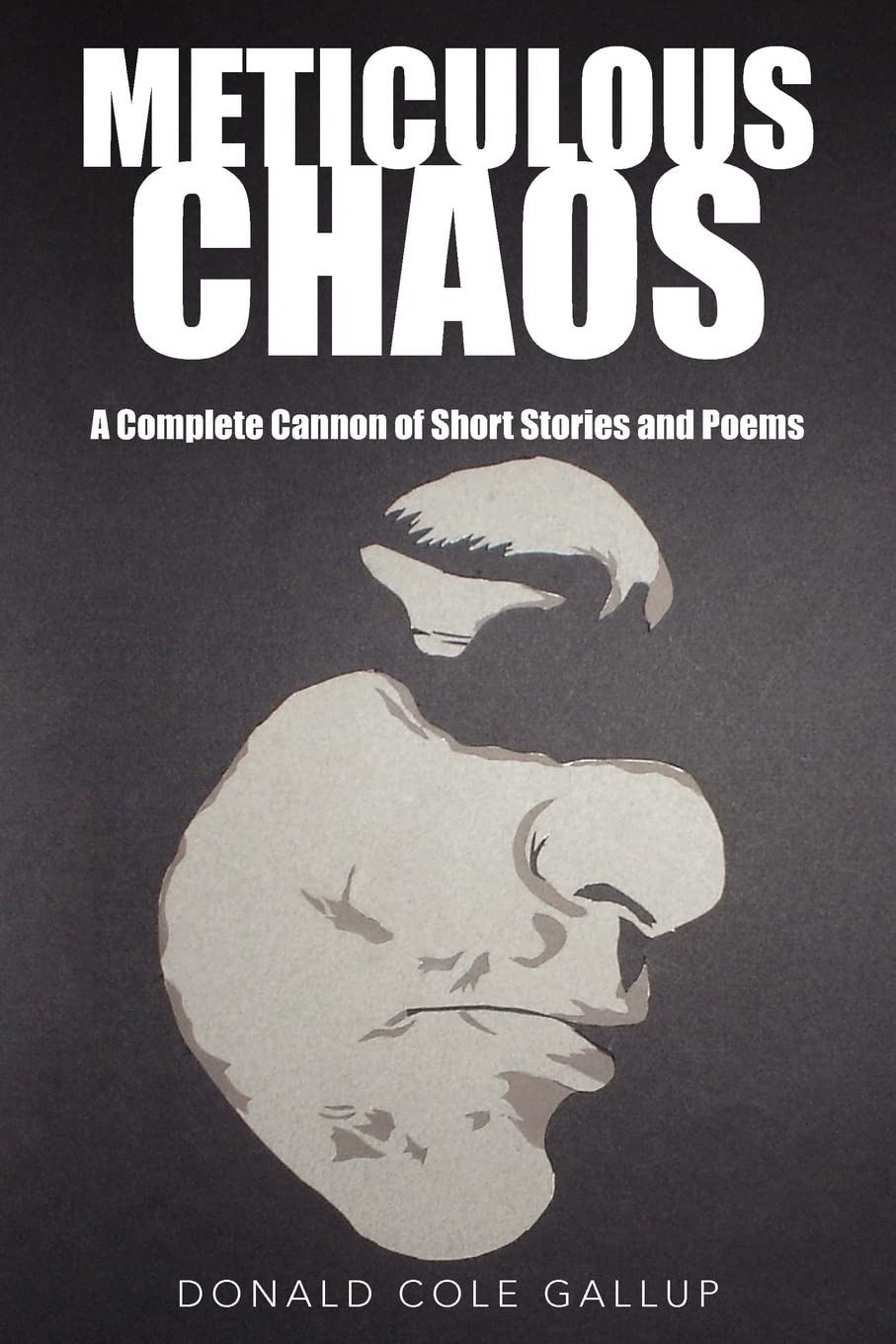 Meticulous Chaos: A Complete Cannon of Short Stories and Poems,Used
