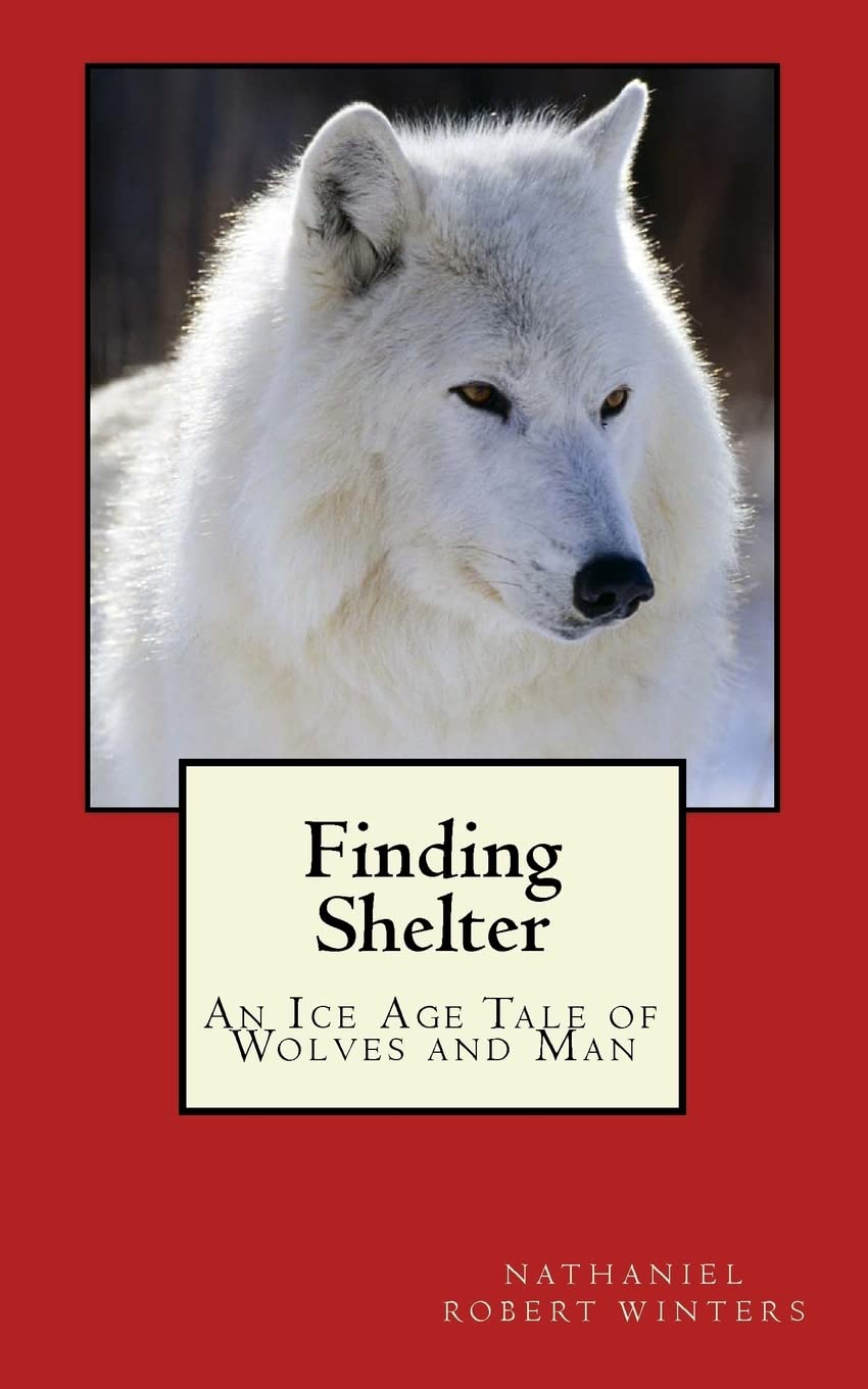 Finding Shelter From The Cold,Used