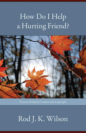 How Do I Help a Hurting Friend?,Used