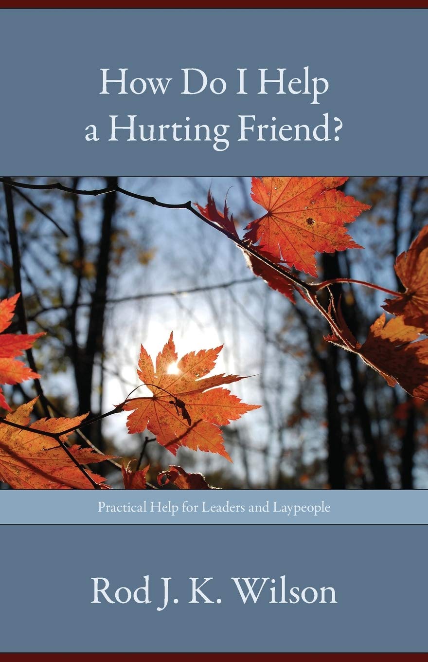 How Do I Help a Hurting Friend?,Used