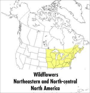 A Peterson Field Guide To Wildflowers: Northeastern and Northcentral North America (Peterson Field Guides),Used