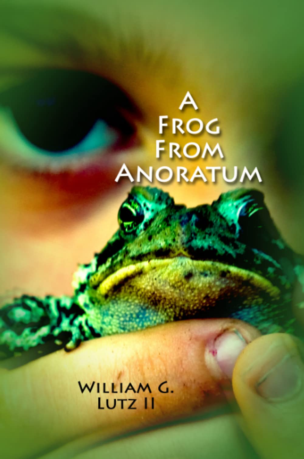 A Frog from Anoratum,Used