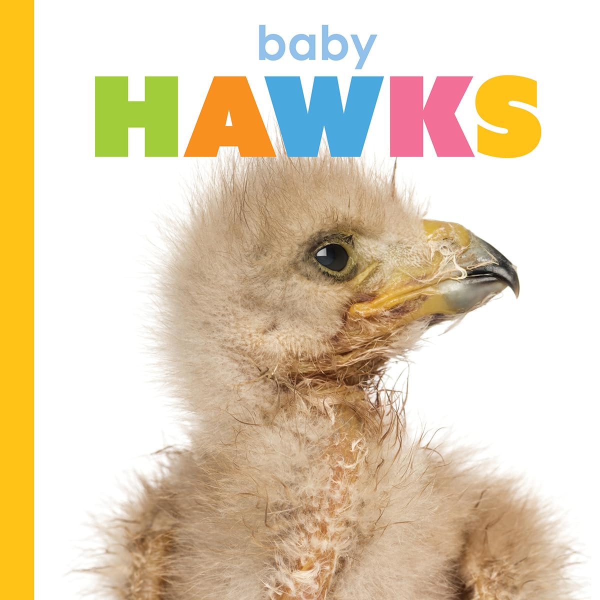BABY HAWKS