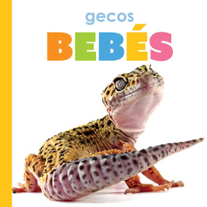 Gecos Bebs (Spanish Edition)