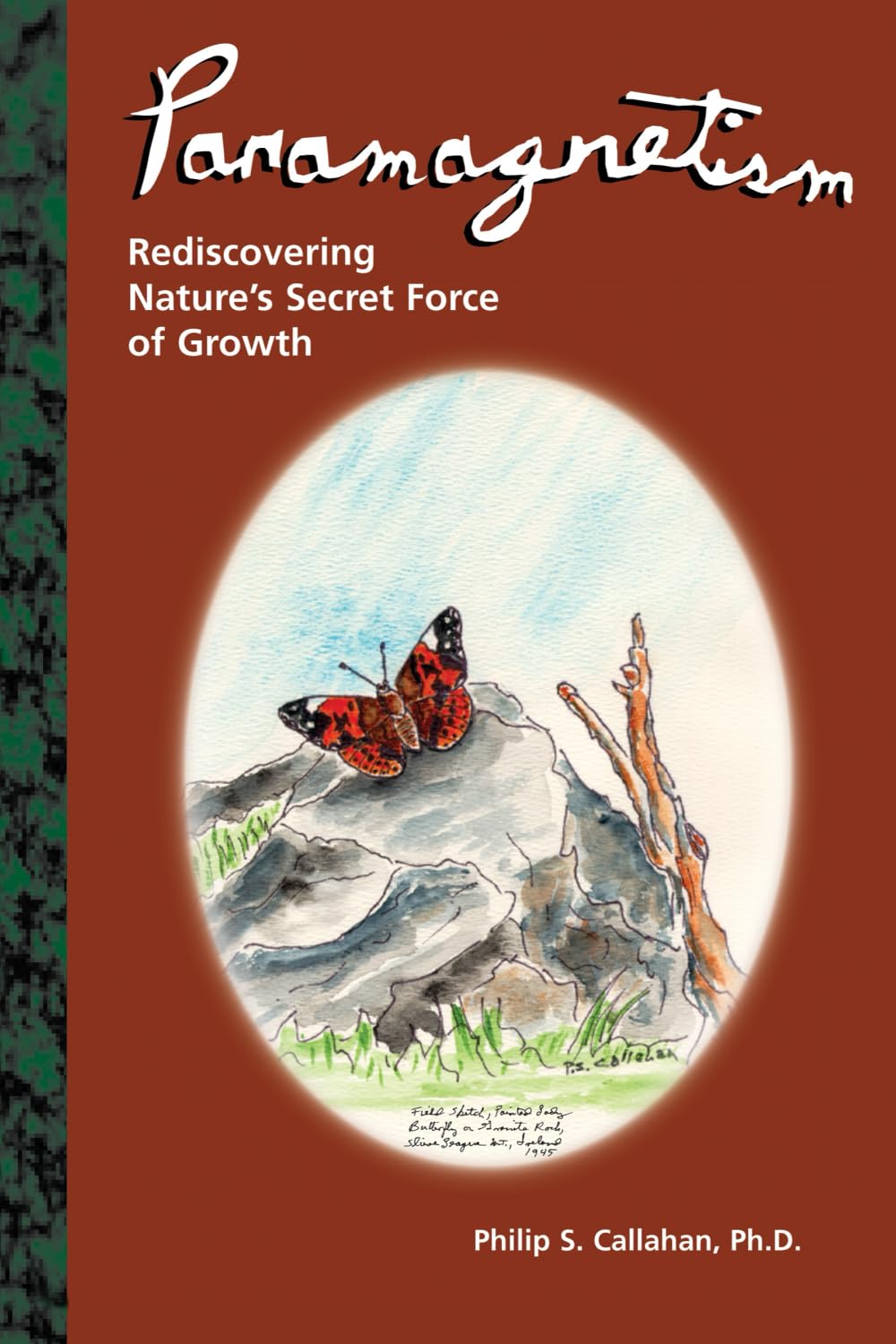 Paramagnetism: Rediscovering Nature'S Secret Force Of Growth,Used