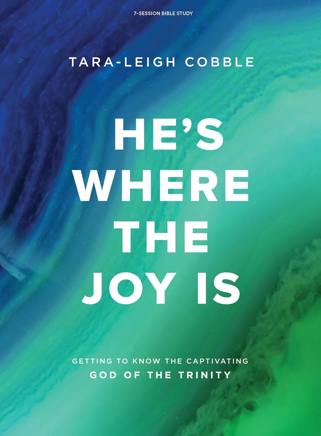 He'S Where The Joy Is  Bible Study Book: Getting To Know The Captivating God Of The Trinity