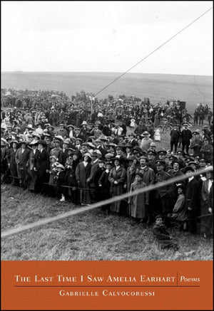 The last Time I Saw Amelia Earhart: Poems,Used