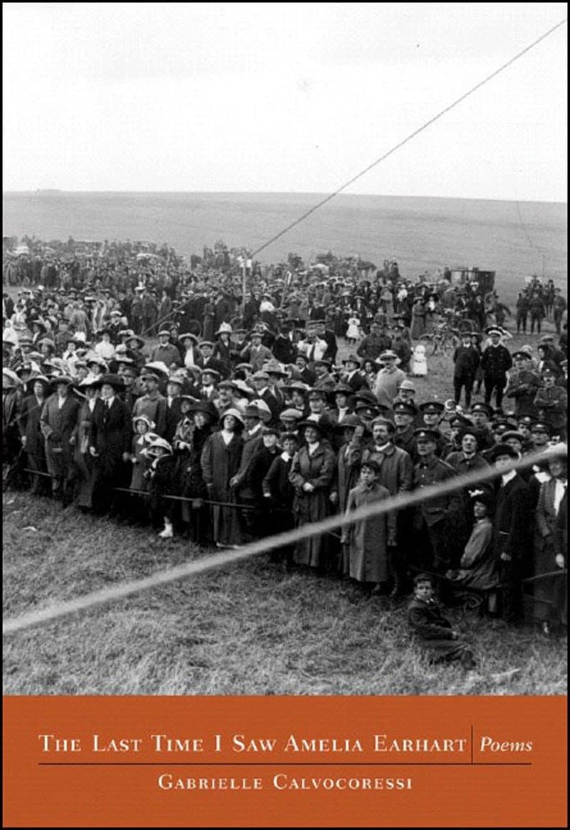 The last Time I Saw Amelia Earhart: Poems,Used