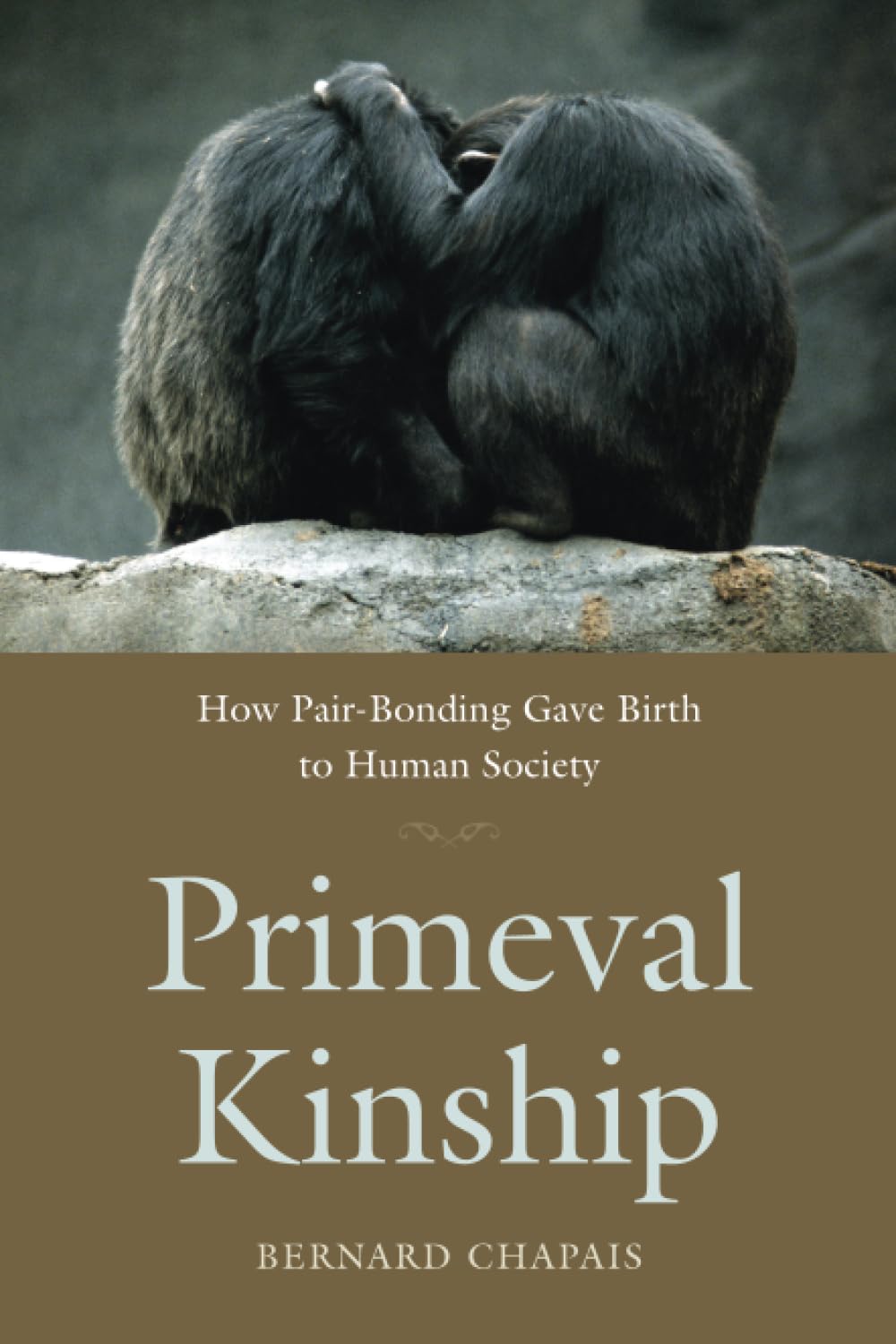 Primeval Kinship: How Pairbonding Gave Birth To Human Society,New
