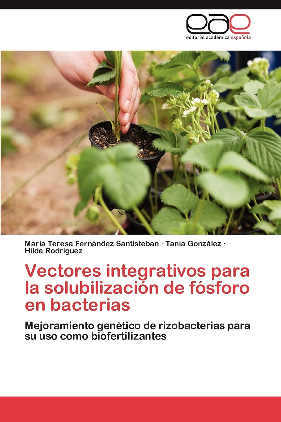 Vectores integrativos para la solubilizacin de fsforo en bacterias: Mejoramiento gentico de rizobacterias para su uso como,Used