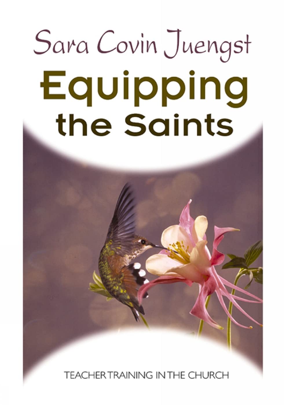 Equipping The Saints: Teacher Training In The Church,New