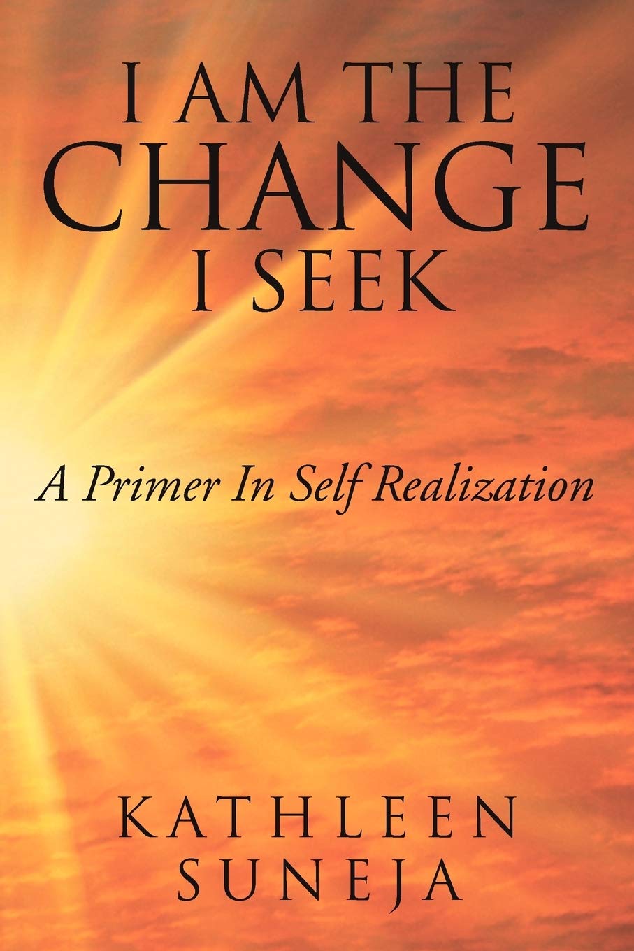I Am The Change I Seek: A Primer In Self Realization,Used