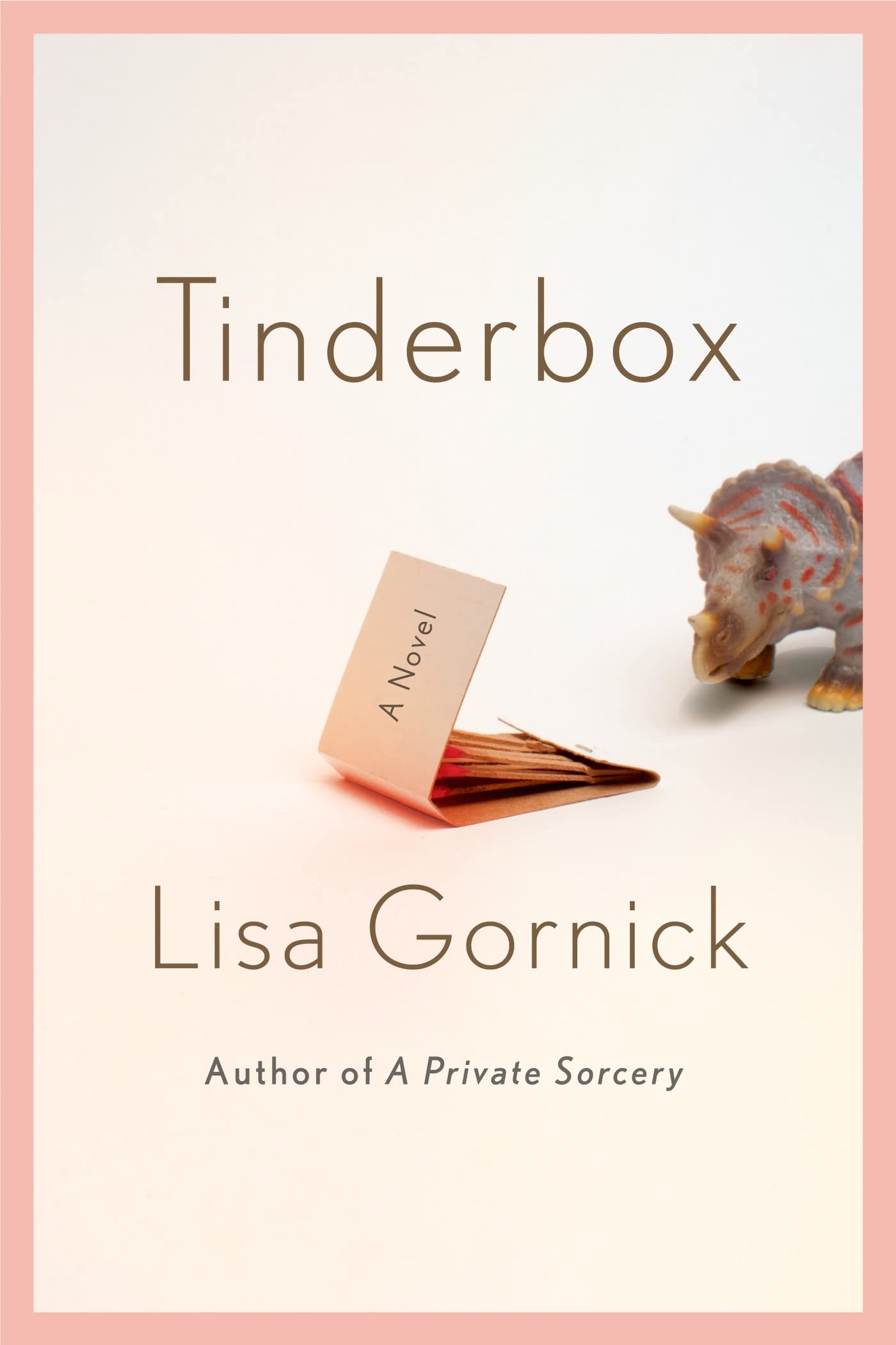 Tinderbox: A Novel,Used