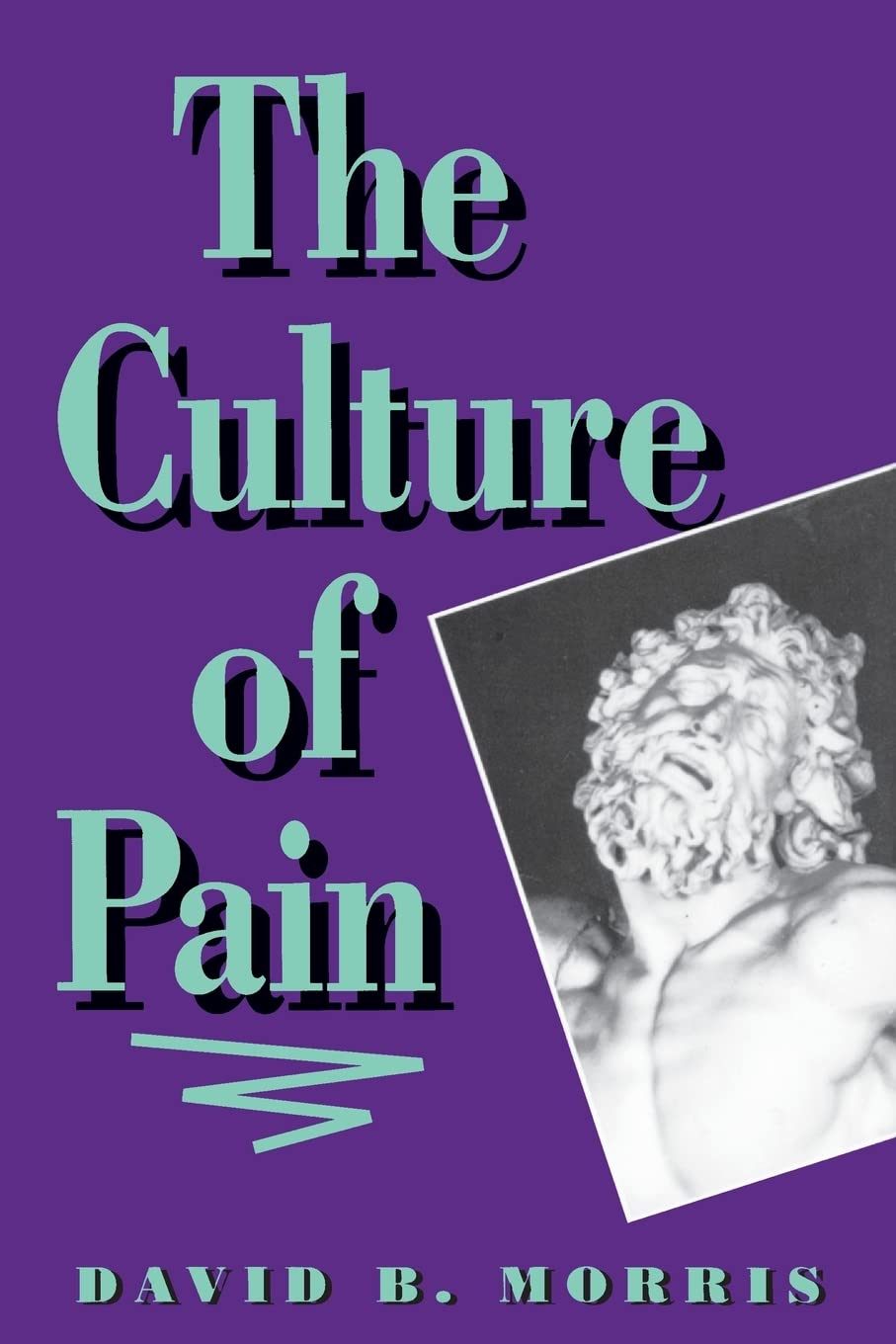 The Culture Of Pain,New