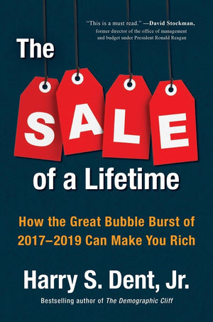 The Sale Of A Lifetime: How The Great Bubble Burst Of 20172019 Can Make You Rich,New