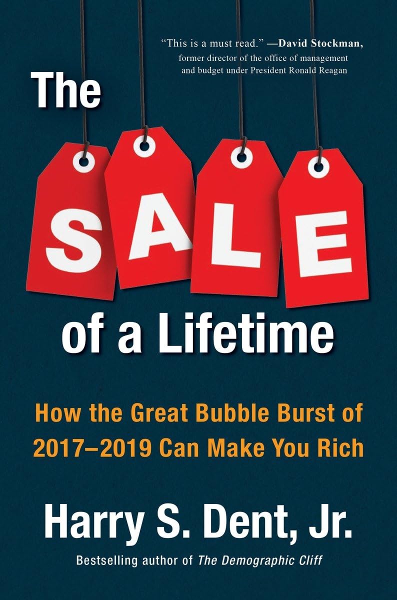 The Sale Of A Lifetime: How The Great Bubble Burst Of 20172019 Can Make You Rich-used