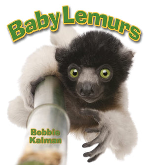 Baby Lemurs (It's Fun to Learn about Baby Animals),Used