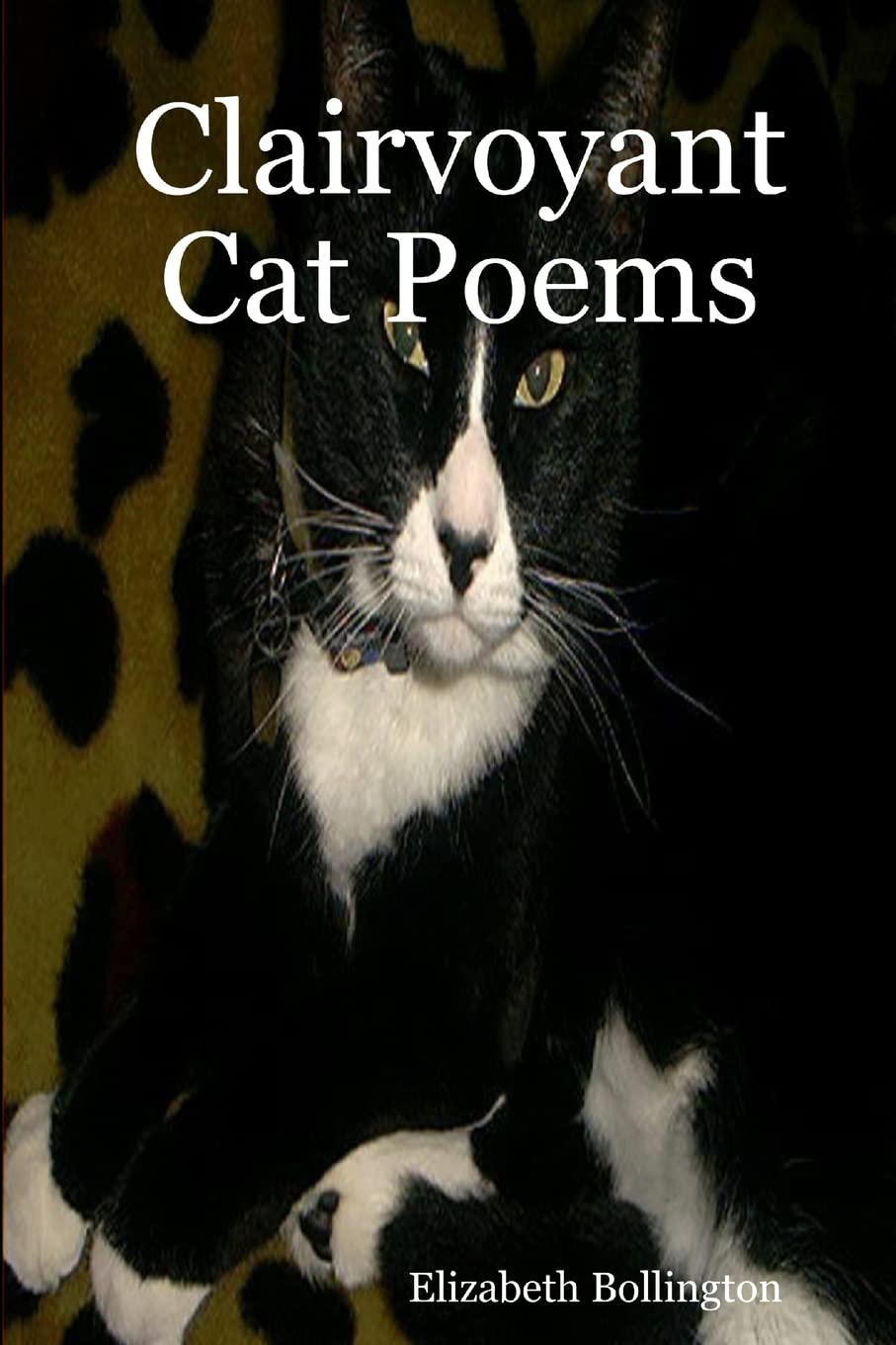 Clairvoyant Cat Poems,Used