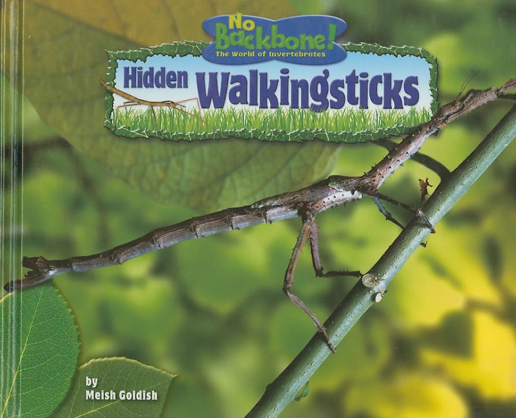 Hidden Walkingsticks (No Backbone! Insects),Used