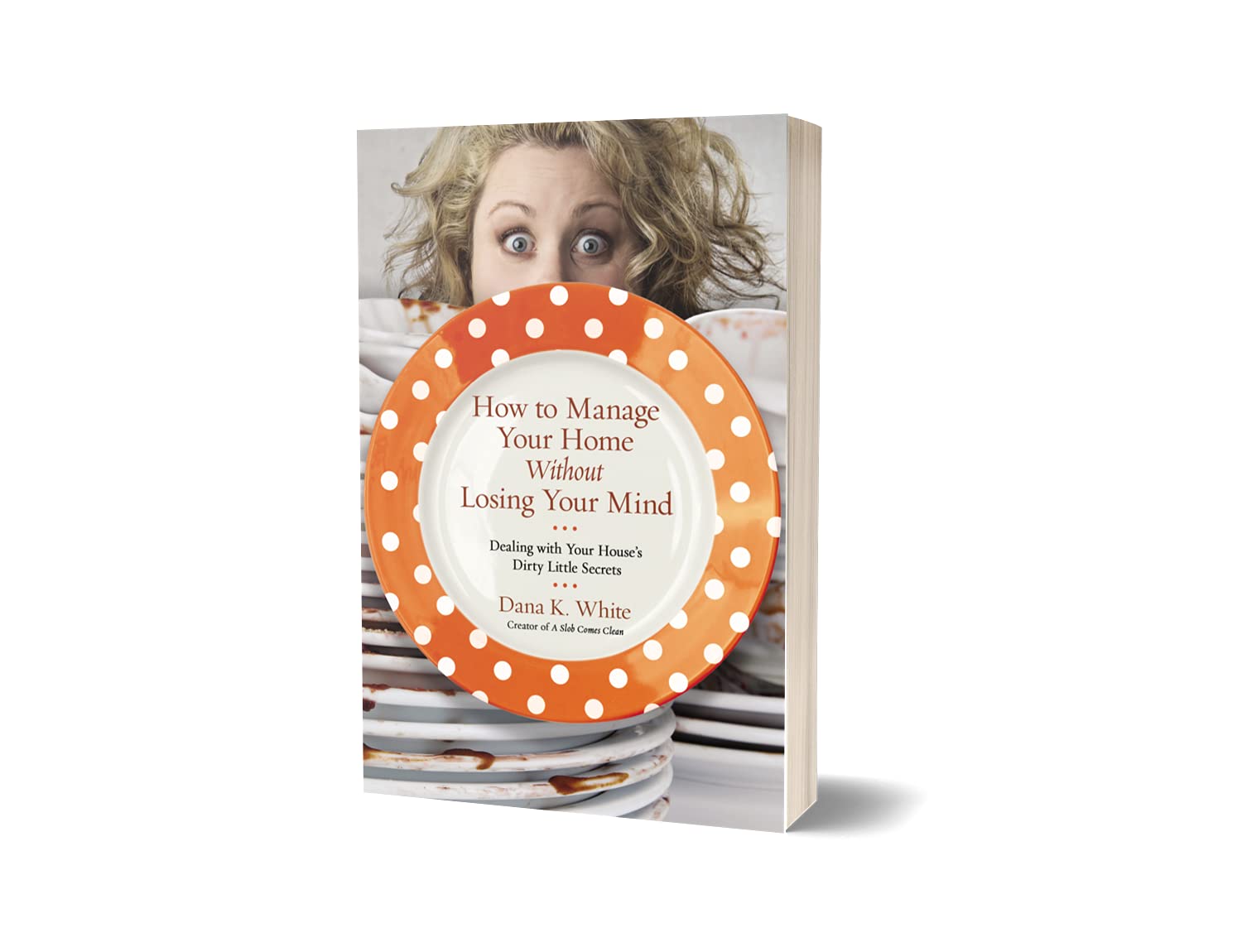How To Manage Your Home Without Losing Your Mind: Dealing With Your House'S Dirty Little Secrets-used