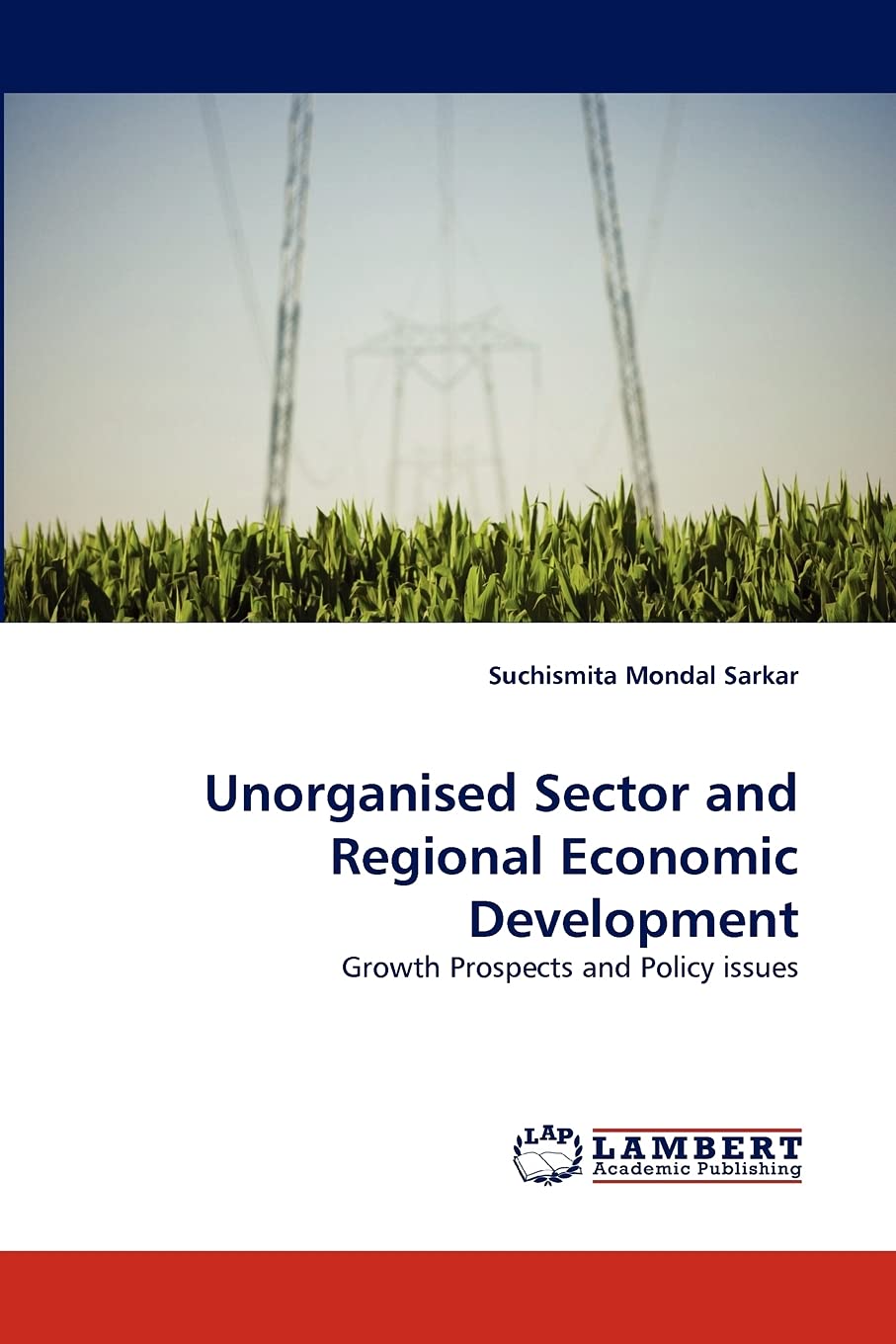 Unorganised Sector and Regional Economic Development: Growth Prospects and Policy issues,Used