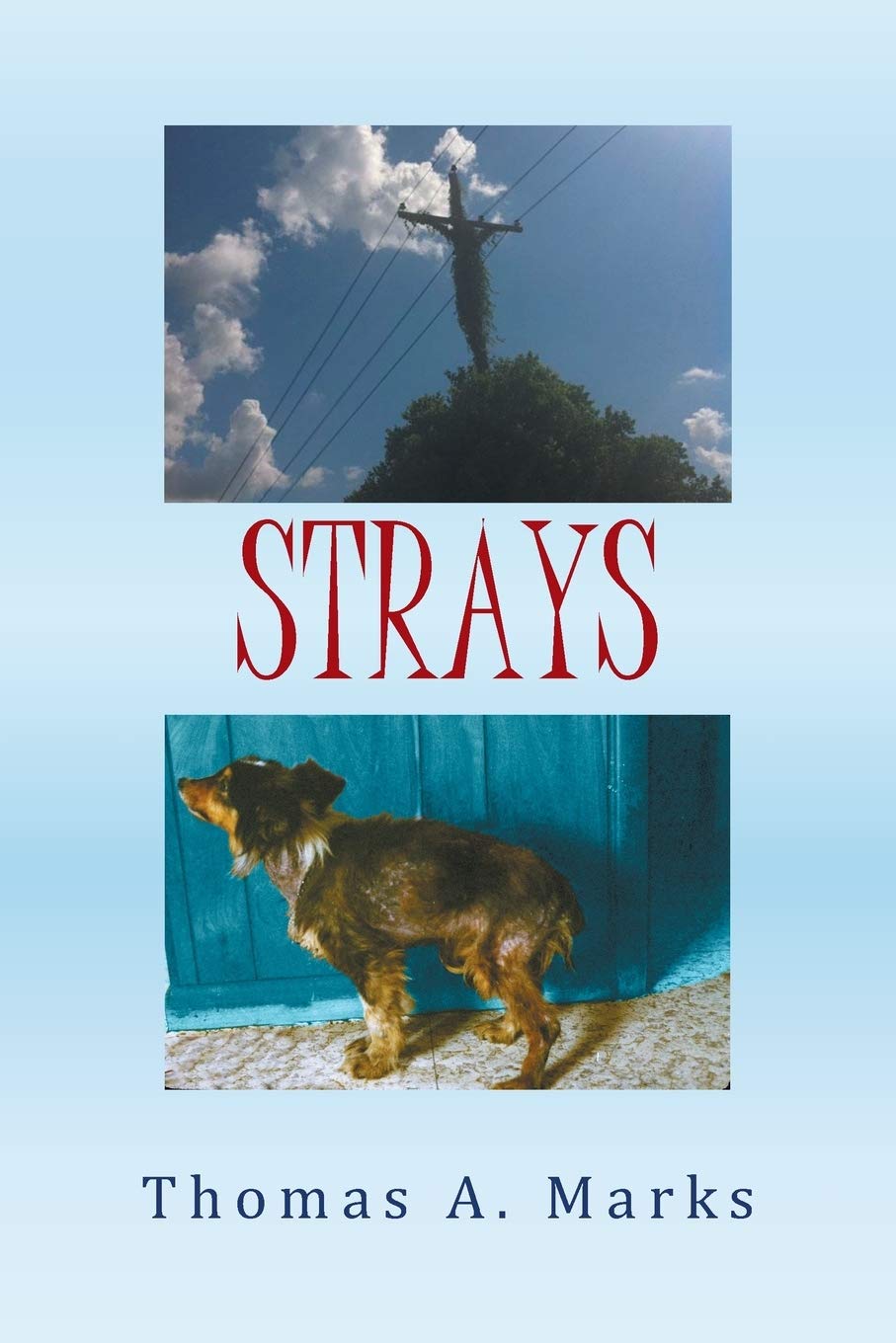 Strays,Used