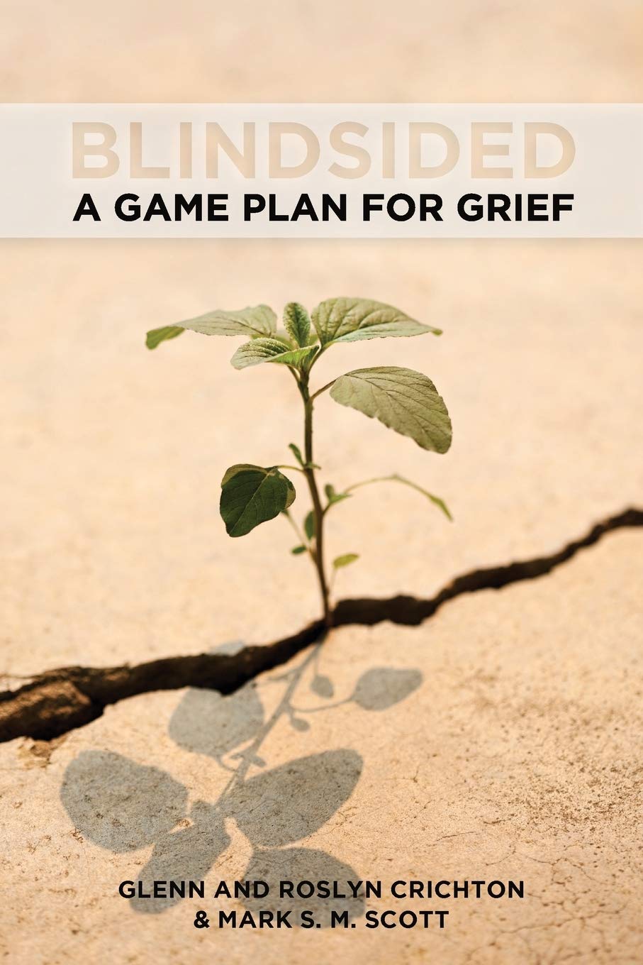 Blindsided: A Game Plan For Grief,Used