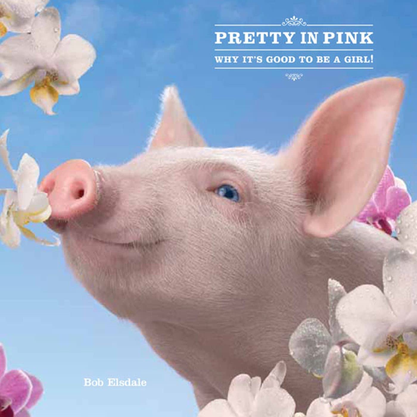 Pretty in Pink: Why It's Good to Be a Girl!,Used
