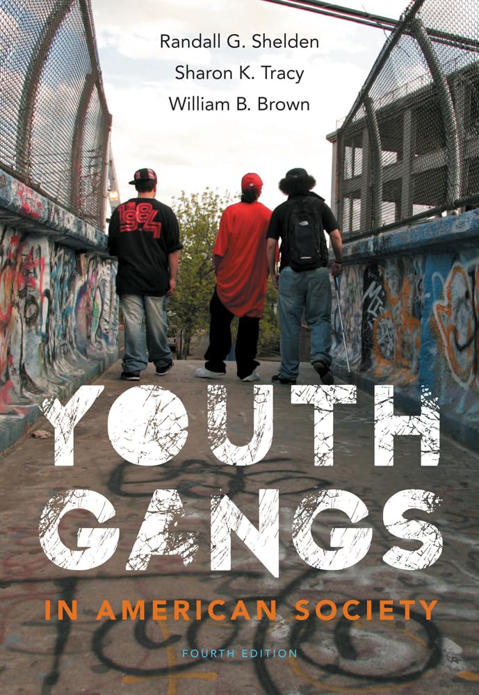 Youth Gangs in American Society,Used