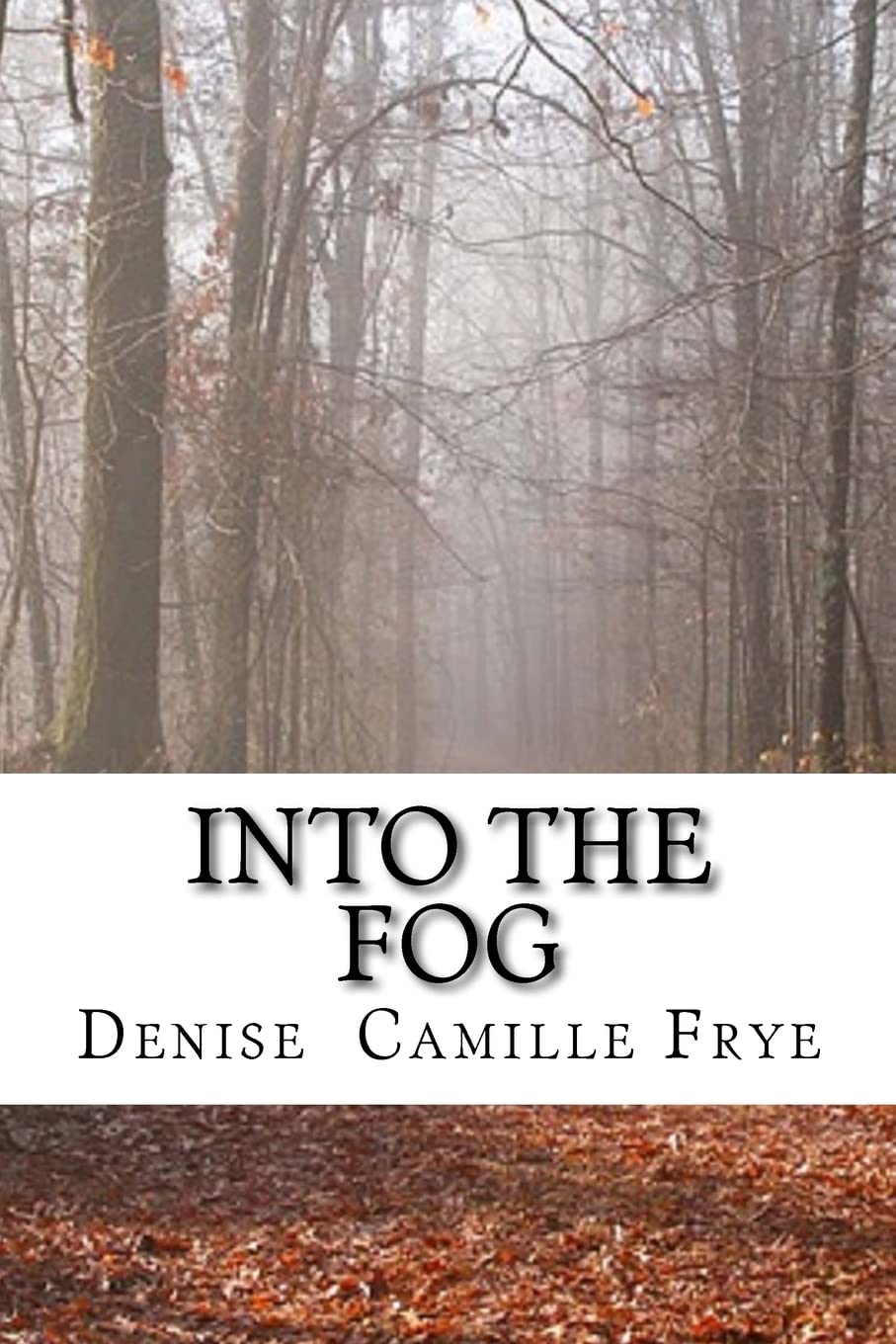 Into The Fog,Used